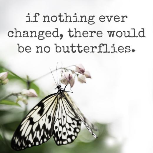 «تغییر». مهمترین راز بالندگی است …اگر «تغییری» وجود نداشت،. پروانه‌ای هم وجود نداشت …